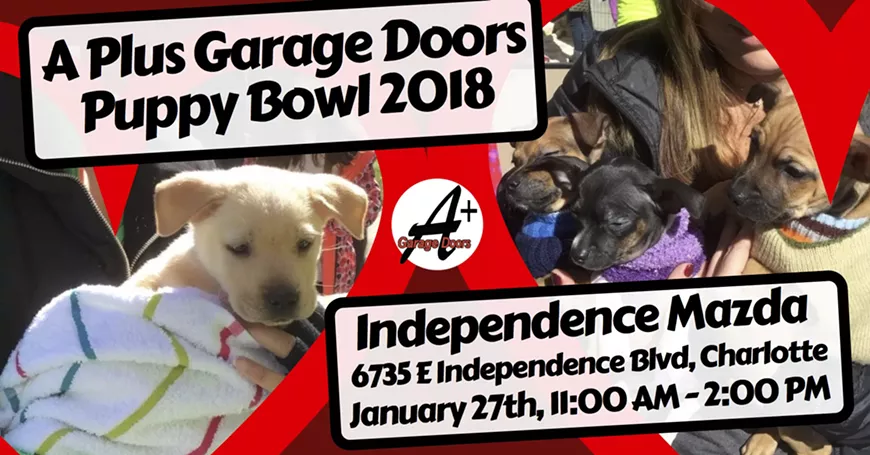 adaaa714_puppy_bowl_2018_event_cover.webp