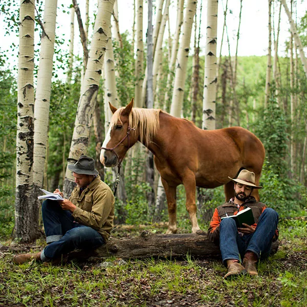 horse-writing-okee.webp