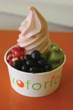 11-29-0071yoforia