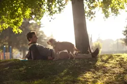 FOCUS FEATURES - A FRIEND IN NEED: Dodge (Steve Carell) takes care of an abandoned mutt in Seeking a Friend for the End of the World