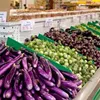 Best Gourmet/Specialty Food Store