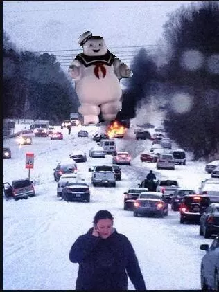 59410-snowmg1-316x422.webp