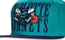 Can 'Hornets' save the Cats?