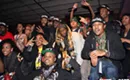 Chop Shop, 11/25/2012