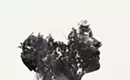Fall Guide 2013: Visual arts, festivals, theater, comedy and more