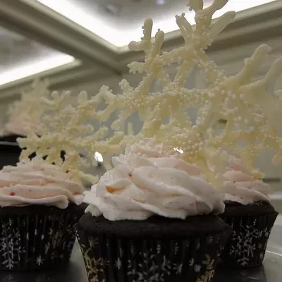 cupcake competition, 12/19/10