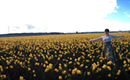 Do before you die: Springtime in Anacortes