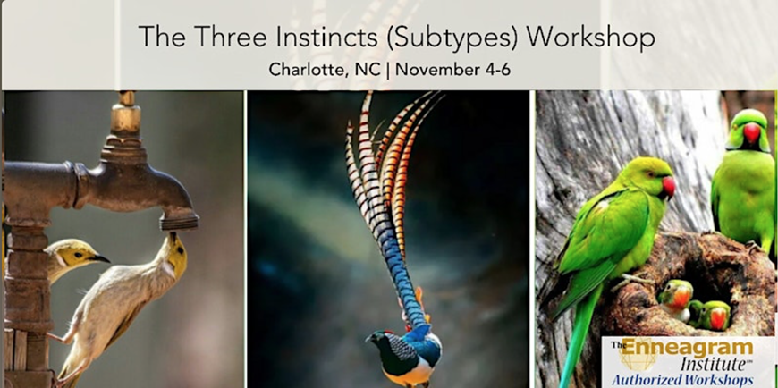Live-In Person Enneagram Workshop