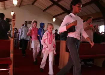 Foster Homes to Fashion Shows