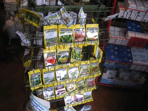 seeds.webp