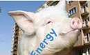 Duke Energy discounts energy hogs' rates, wants you to pay for them