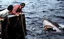 <i>Jaws</i>, <i>Full Metal Jacket, MST3K</i> set among new home entertainment titles