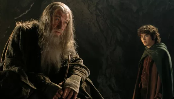 lotrfellow1