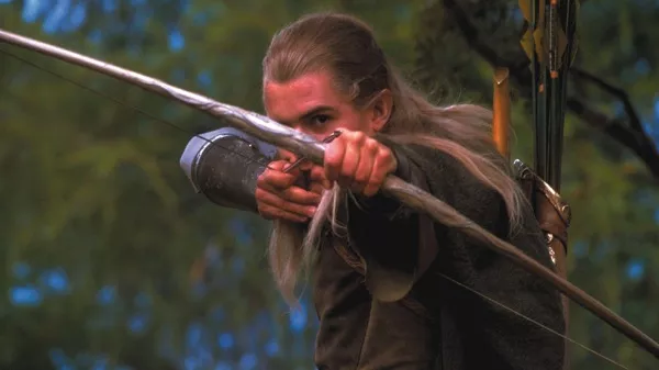 lotrfellow2