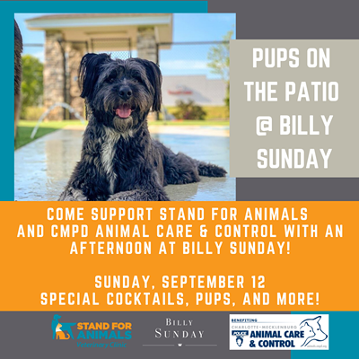 Image: Pups on the Patio at Billy Sunday Benefitting Stand for Animals and CMPD Animal Care & Control