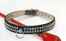 Queen City Kink: Submissive empowerment
