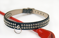 Queen City Kink: Submissive empowerment