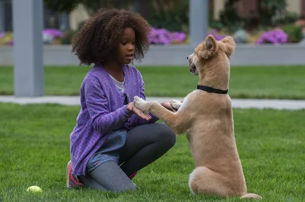 Quvenzhan&eacute; Wallis in Annie (Photo: Columbia)