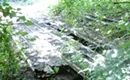 Question the Queen City: Historic parks in center city