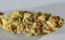 Stoners, lend us your ears!