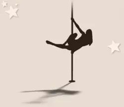 pole_sil-300x260.webp