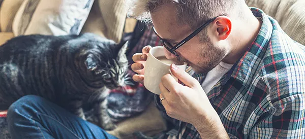 MacTabby Cafe is coming this fall. Meow.