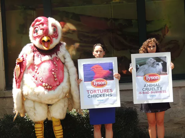 Abby the Abused Chicken was designed in a Hollywood special-effects studio and is now touring the southeast looking for help. - RYAN PITKIN