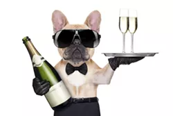 varwwwclientsclient1web2tmpphpeqgq91.webp