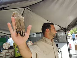 For a cool $600 you can go home with a new pet.  (Photo by Ryan Pitkin)