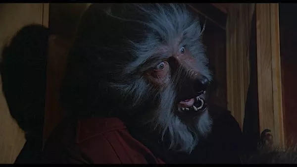 Kerwin Mathews in The Boy Who Cried Werewolf (Photo: Shout! Factory)