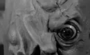 <i>The Bravados, The Cyclops, The Naked Prey</i> among new home entertainment titles