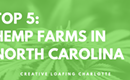 Top 5 Hemp Farms in North Carolina