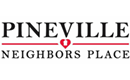 Pineville, NC | 4th Annual Pineville Potato Drop