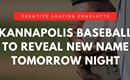 Kannapolis Baseball  To Reveal New Name Tomorrow Night