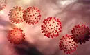 Coronavirus Fears Result in Mass College Closures in USA