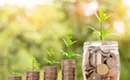 The Importance of Emotional Control in Investing