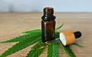 Many Benefits of CBD