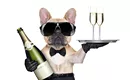BIG LIST: New Year's Eve 2015 parties in Charlotte