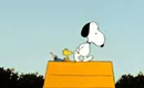 <i>Captain America: Civil War</i>, <i>Chimes at Midnight</i>, <i>Snoopy, Come Home</i> among new home entertainment titles