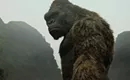 <i>Free Fire, Kong: Skull Island, T.J. Hooker</i> among new home entertainment titles