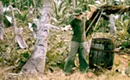 <i>Bananas, Logan Lucky, Misery</i> among new home entertainment titles
