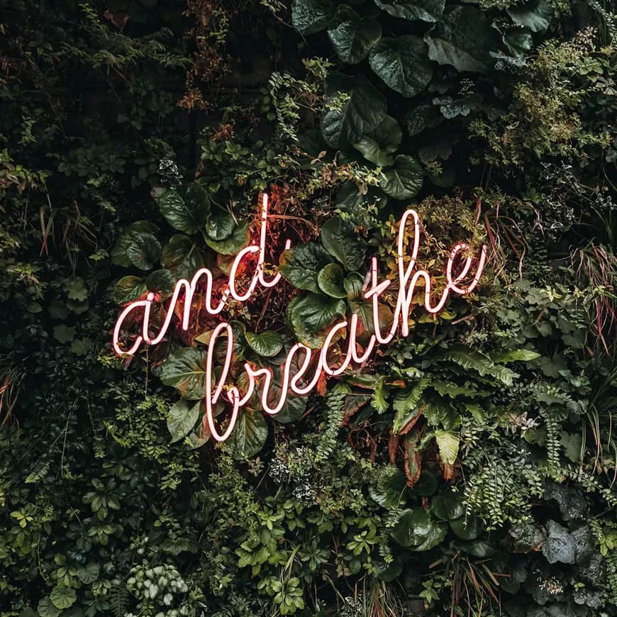 robin-benzrihem-ydlikd8zlea-unsplash.webp