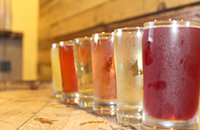 True Cider Continues to Carve Out Its Own Space in the Craft Industry
