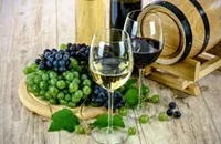 Red Vs. White Wine: Difference in Grapes