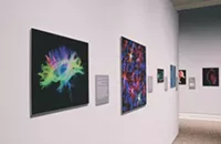 Creative Takes on the Gallery Wall from Florida Art Galleries