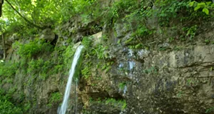 Unveiling the Power of Real Water: Exploring its Benefits