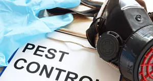 Pete's Pest Patrol: Your Trusted Partner in Pest Control, Proudly Serving Statham and Monroe, GA