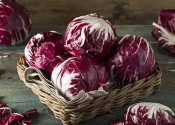 No One Knows How to Cook Radicchio