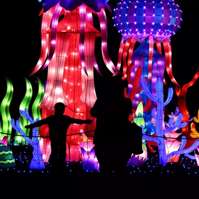 Charlotte's Chinese Lantern Festival kicks off to multicolored start