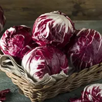 No One Knows How to Cook Radicchio